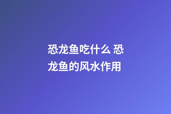 恐龙鱼吃什么 恐龙鱼的风水作用
